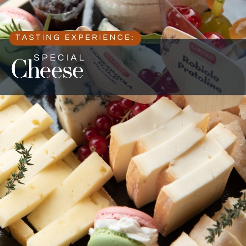 GIFT - Special Cheese