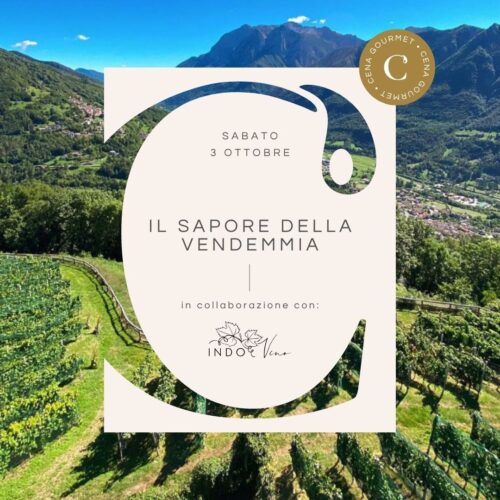 Il Sapore della Vendemmia